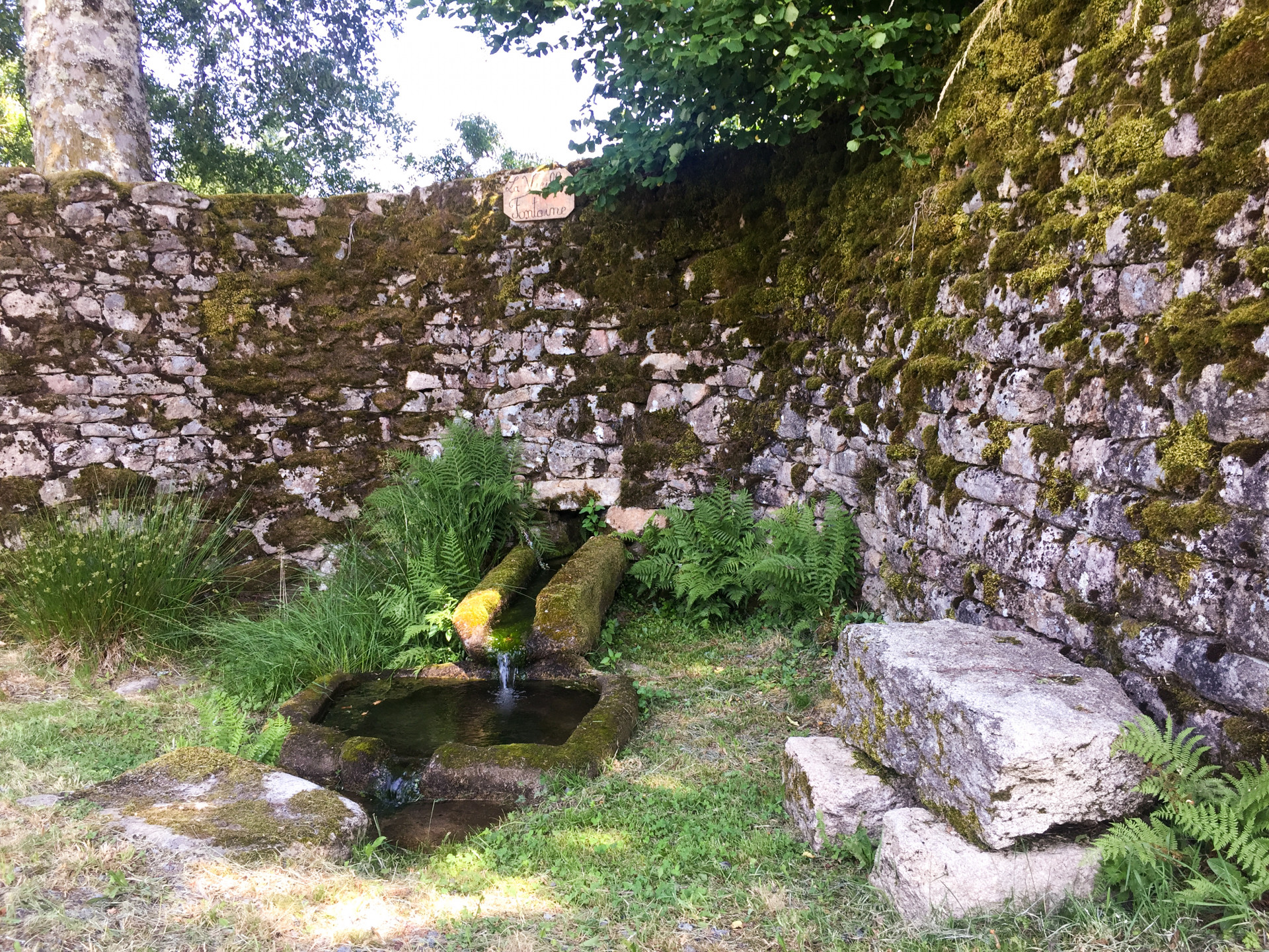 Description de l'image